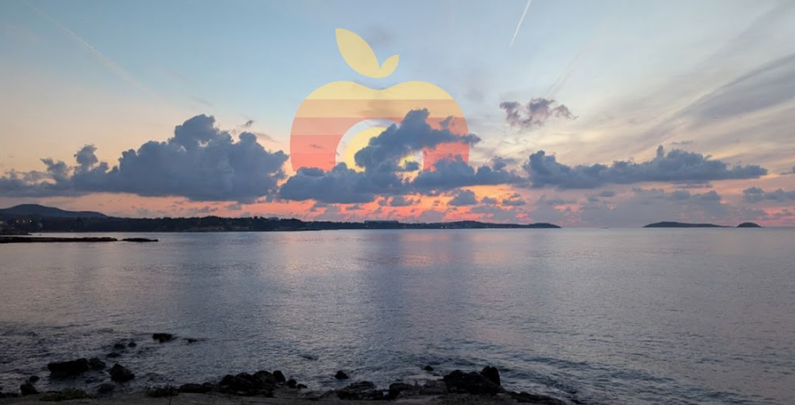 OBTS Photo Competition Entry